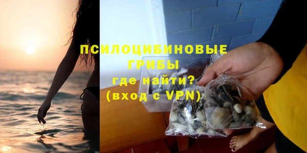 стафф Армянск