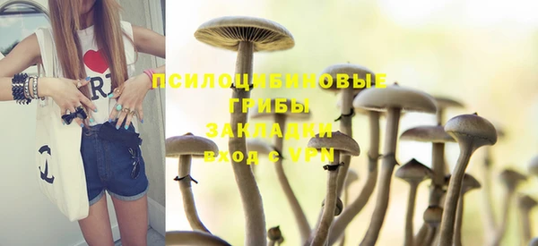 стафф Армянск