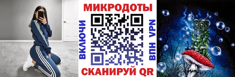 Псилоцибиновые грибы мицелий  МЕГА маркетплейс  Шахунья 